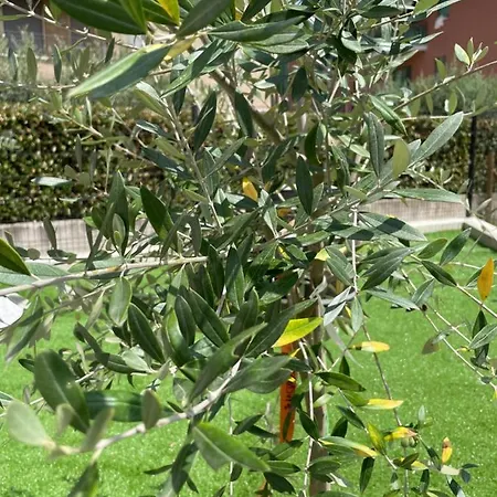 Vakantiehuis Uliveto Bastia Umbra