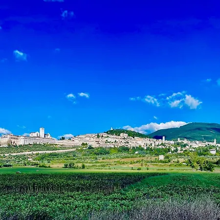 Uliveto Bastia Umbra