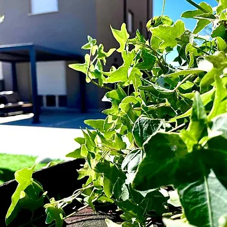 Prázdninový dům Uliveto *