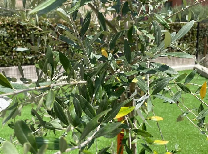 Prázdninový dům Uliveto Bastia Umbra