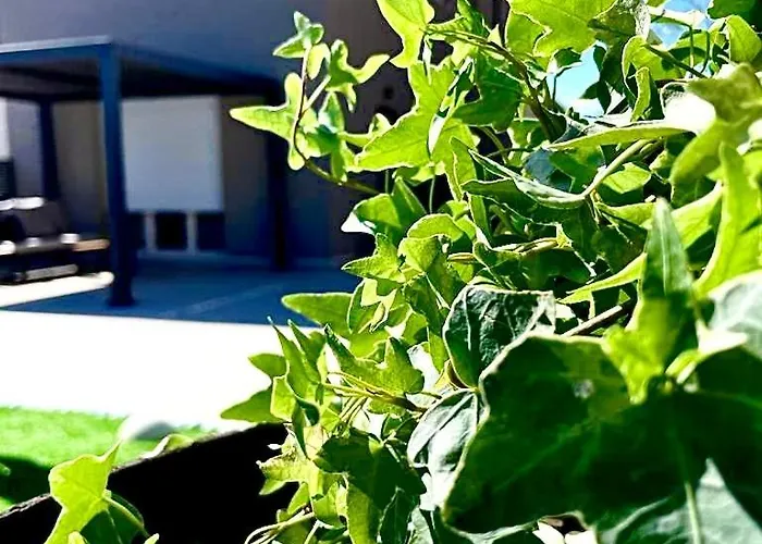 Prázdninový dům Uliveto *